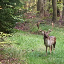 Kopie_von_IMG_2301