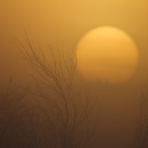 Kopie_von_sonnenaufgang-1